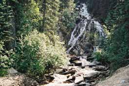 Forestry remains in Jumbo Creek Valley