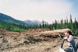 Logging in the Jumbo Creek Valley